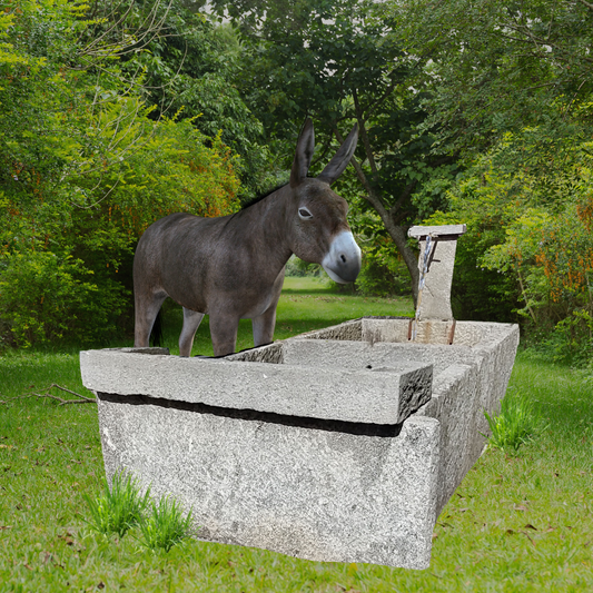 Ancien lavoir